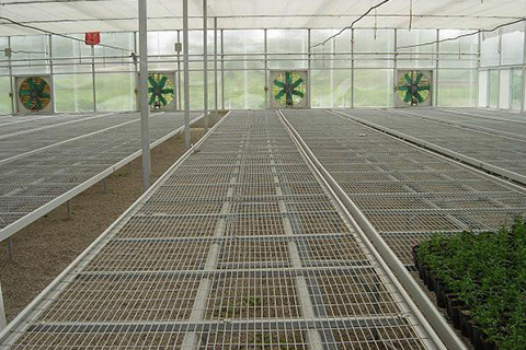 苗床網(wǎng)片 苗床網(wǎng)片