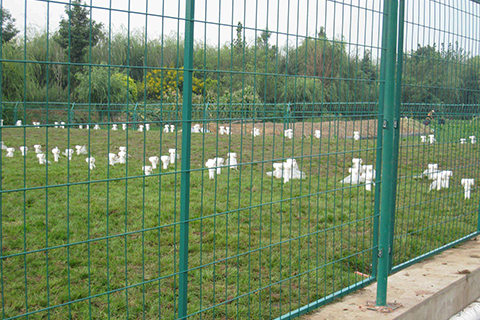 道路護(hù)欄網(wǎng) 道路護(hù)欄網(wǎng)